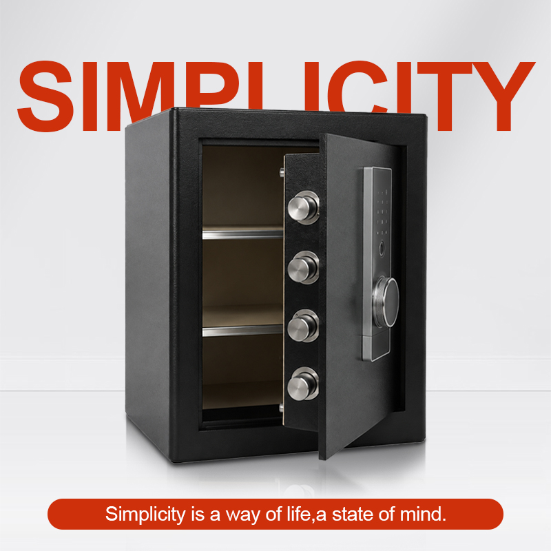 Biometric Fingerprint Safe Box - Home Security Key review and price